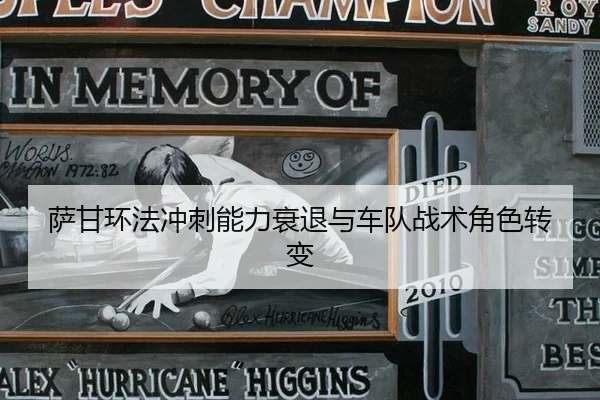 sa-gan-huan-fa-chong-ci-neng-li-shuai-tui-yu-che-dui-zhan-shu-jue-se-zhuan-bian-2-224.jpg